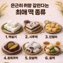 은근히 취향 갈린다는 최애 떡 종류. 이미지