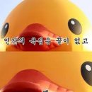 라니휘트니스 이미지