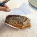 오향매점