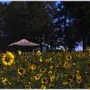 고창농장 이미지