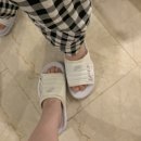 씻고신고 신발세탁 이미지