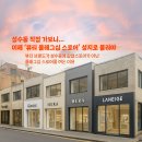 뷰티&스토어 Daum카페
