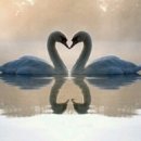 아동복지론 이미지