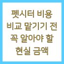 (신규)펫시터(산책·돌봄관리사) | 펫시터 비용 비교 맡기기 전 꼭 알아야 할 현실 금액