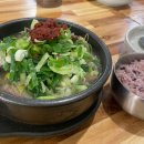 4월 법카로 먹은 상암맛집 +a 정리😋