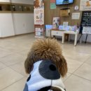 라온메디칼 이미지