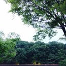 정자네식당 이미지