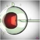 리오라여성의원 이미지