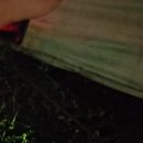 신진주유소 Daum카페