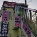 구피염색방 이미지