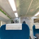 사북면 행복센터 | 4월 춘천 여행 | 참나무숯불닭갈비, 해피초원목장, 벚꽃 명소, 인필드, 박사마을 곰핫도그, 조부자 순대...