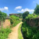 슬로시티삼지내마을 티스토리