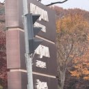 전통음식점 원양 | 화담숲 실시간 단풍, 단풍 절정 시기, 야놀자 예약 및 화담숲 모노레일 탑승 후기(방문일 2025.11.08)