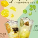 더리터달서 - 61642 | 더리터달서