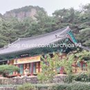 선림식당 네이버블로그