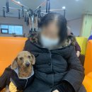 기쁨주는노인복지센터 이미지