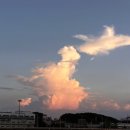 양서주유소 이미지