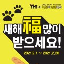 야옹아멍멍해봐펫 - 청주시 상당구 남사로 136 | 야옹아멍멍해봐펫