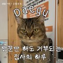 집사의 하루 대구점 | 대구 고양이카페 추천 ‘집사의 하루’ 방문 후기