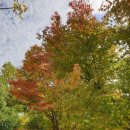 가을 주말의 스포원 파크 이미지