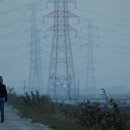 맛터식당 이미지