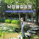 월영연못공원 | 경북 안동 여행 가볼만한곳 낙강물길공원 나들이하기 좋은 명소