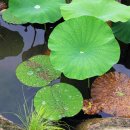 오실제민박 이미지