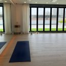 대전원신흥중학교 | [대전 원신흥동] 시드오브라이프 :: 초보자의 하타요가 체험 후기 Seed of Life(대전요가, 원신흥동요가)