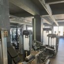 모조 피트니스 이미지