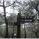 2026년 3월 정기산행 경북 예천 회룡포/비룡산(둘레길) 이미지