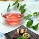 별밤지기