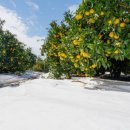 미란농장 이미지