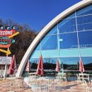 전동초등학교 | 세종시 대형트리 카페 세컨드세컨드