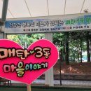 선주리들공원 이미지
