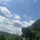 자작나무민박 | 인제 자작나무숲 속에서 즐기는 사계절 맛집, 청기와맛집 솔직 후기