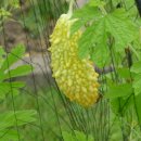 씨앗피트니스 이미지