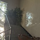 뉴동해컨벤션연회장 | 더뉴컨벤션웨딩 5층 제니스홀 ,신부대기실 ,연회장 후기