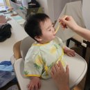 화목토축산 | 아기 배달 친환경 이유식재료간편식 팜투베이비 정보