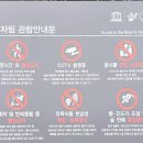 제주 비자림 산책로 입장료 주차 후기