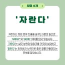 자란다프로젝트 이미지