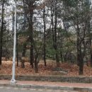 남양주도곡초등학교 이미지