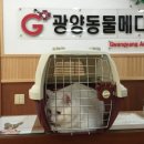 하하 동물병원 이미지