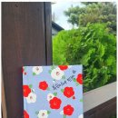 성산일출봉민박 이미지