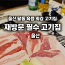 달동돼지달돈