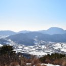 다문리 양묘사업소 이미지