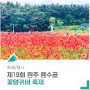 원주시 푸른 노동조합 | 2026 원주 용수골 꽃양귀비 축제 일정 입장료 총정리