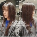 은채샵 | 대치동 삼성역 미용실 무이 삼성점 은채 디자이너 쌤 볼륨매직 레이어드 컷 후기