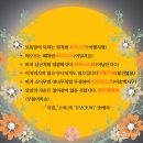 또보개 | 100가지 스토리 #10 | 근정전 4 | 2층 | 통층 | 칠조룡 | 보개천장 | 닫집 | 어좌 | 일월오봉도 | 일월경