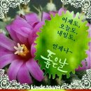 좋은하루 이미지