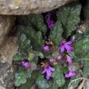 금창초등학교 이미지